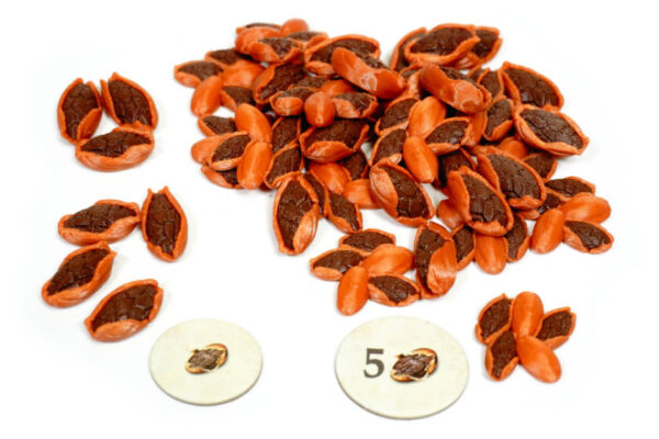 TEO-T-01 Teotihuacan cacao Token Eurohell