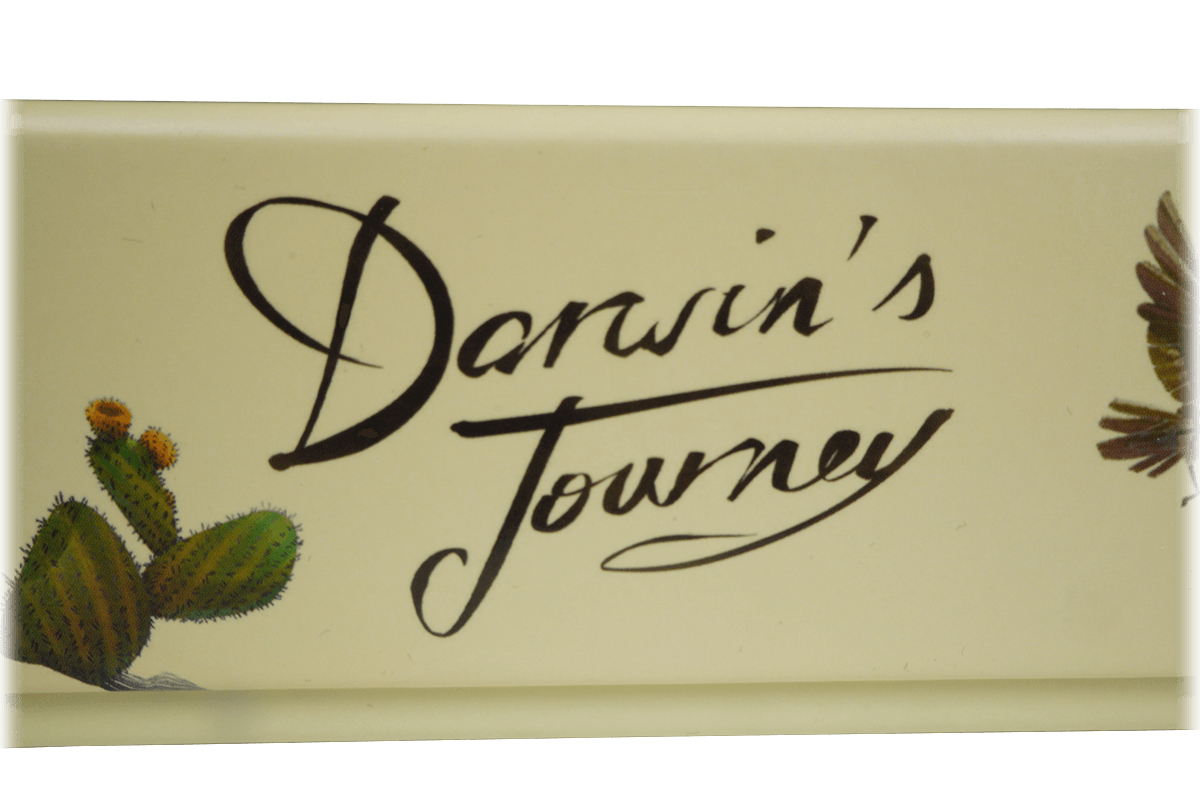 DJ-I-01-R note Insert Darwins Journey Retail Eurohell boardgame
