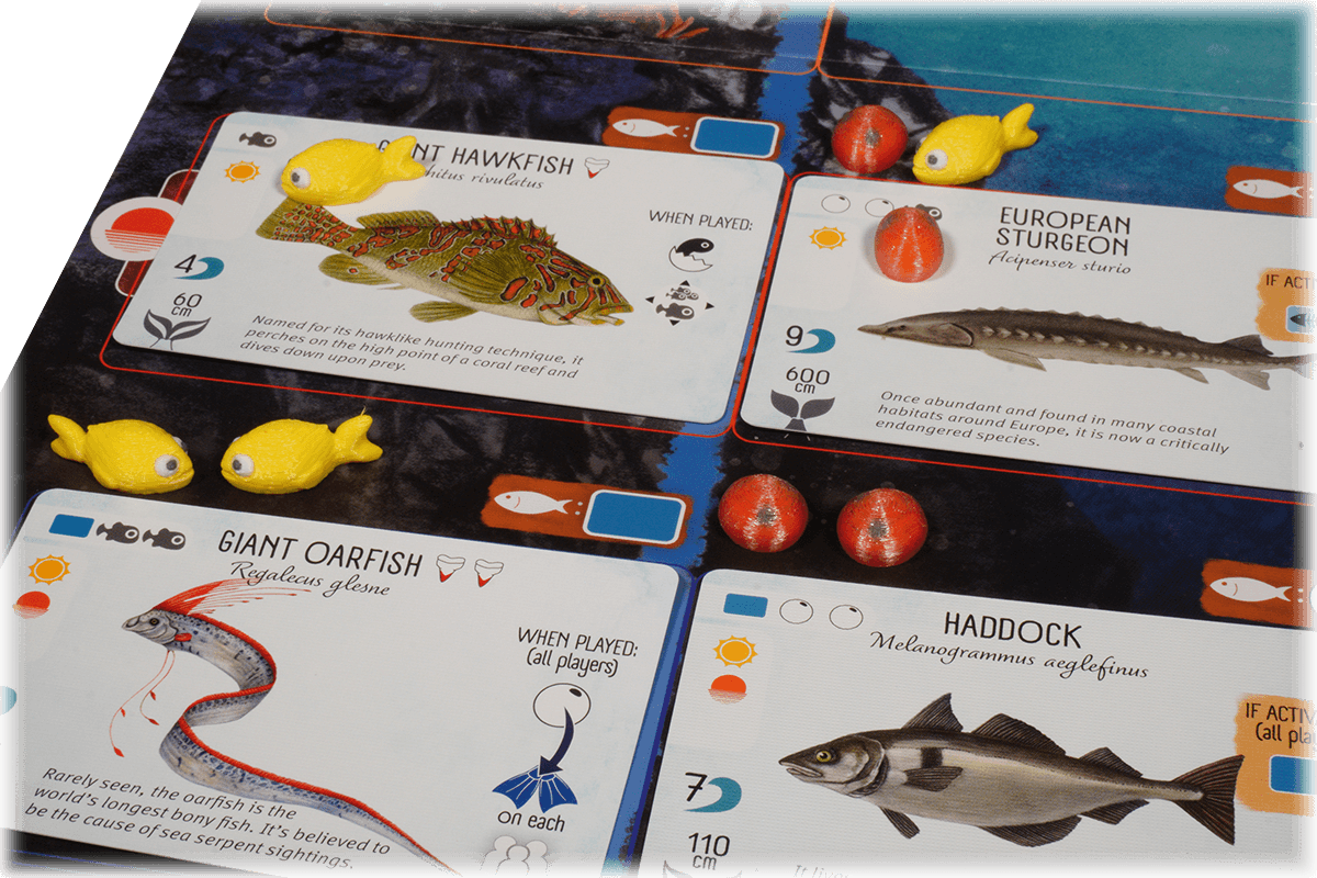 FIS-T-01 Token Finspan Eurohell boardgame fish cards