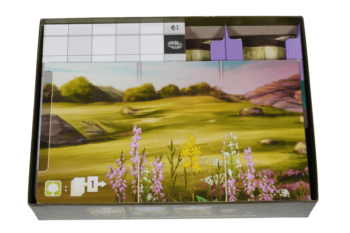 FSD-I-01 Insert Forest Shuffle Dartmoor Eurohell boardgame 3