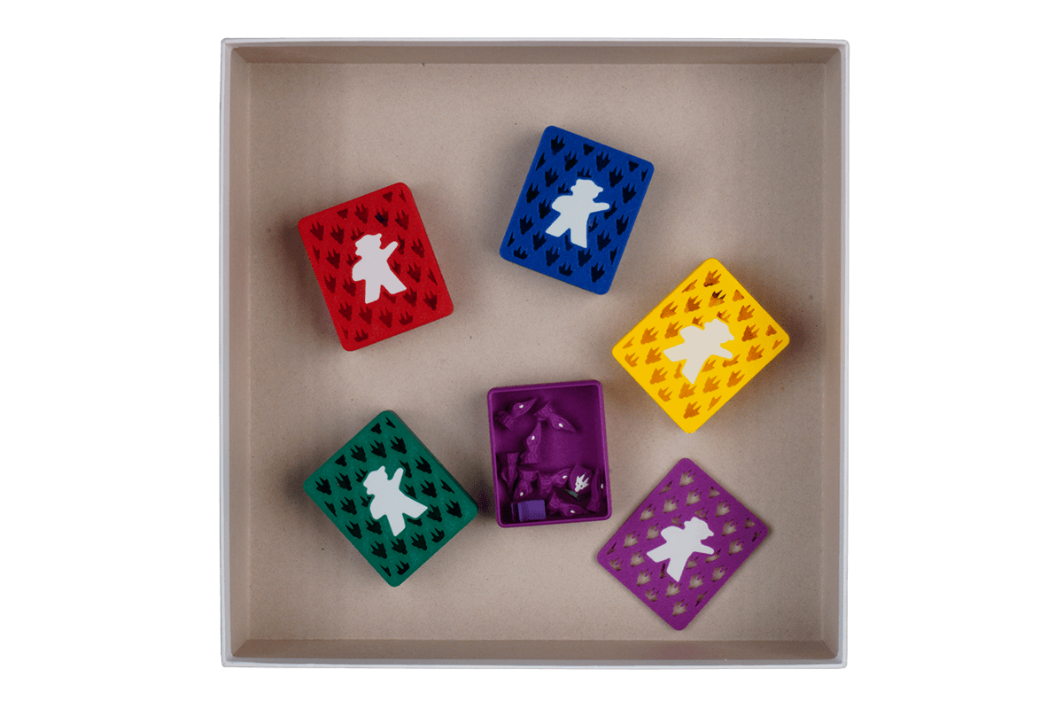 WYS-I-02 Insert Wyrmspan Dragon Academy Eurohell boardgame 1