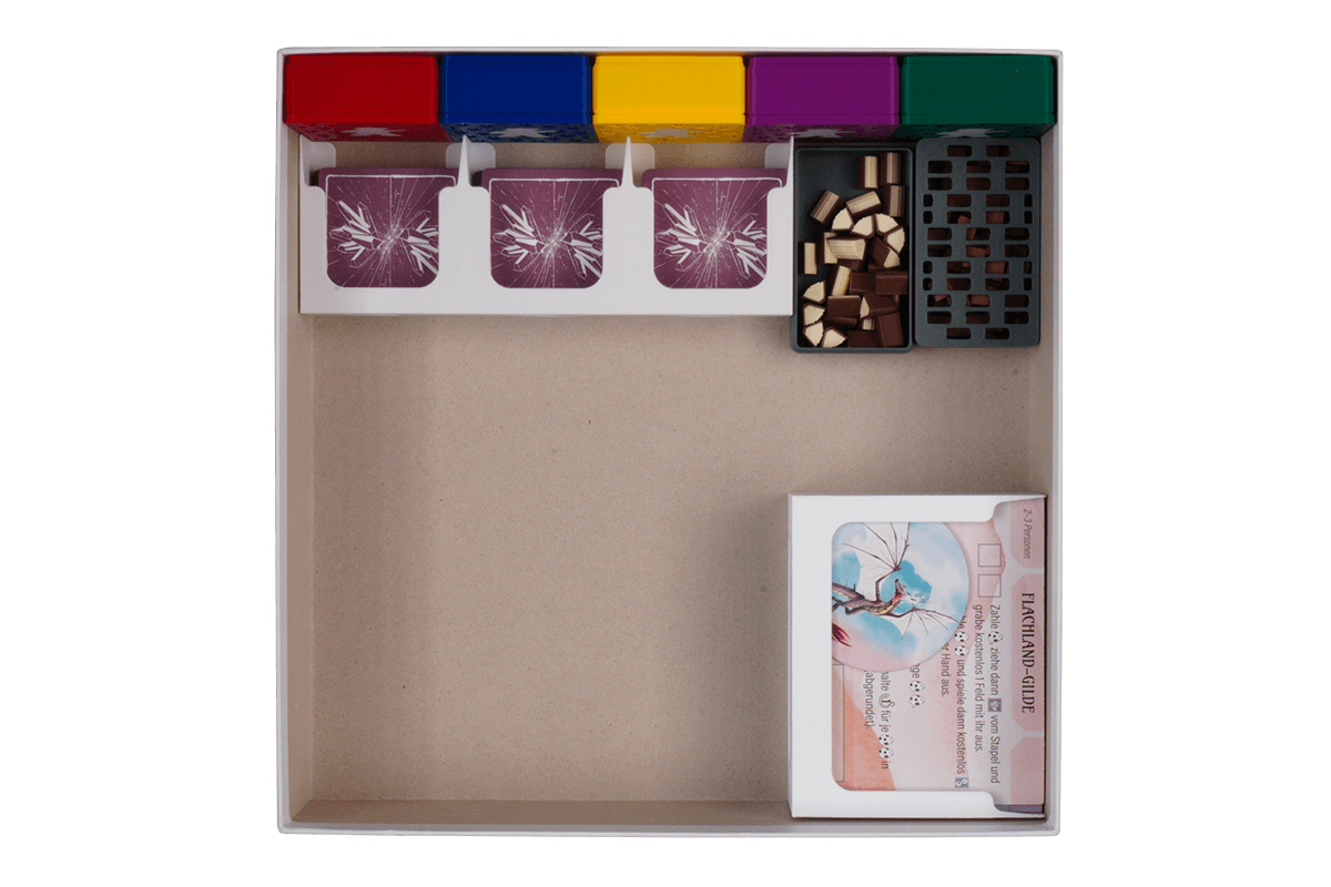 WYS-I-02 Insert Wyrmspan Dragon Academy Eurohell boardgame 2